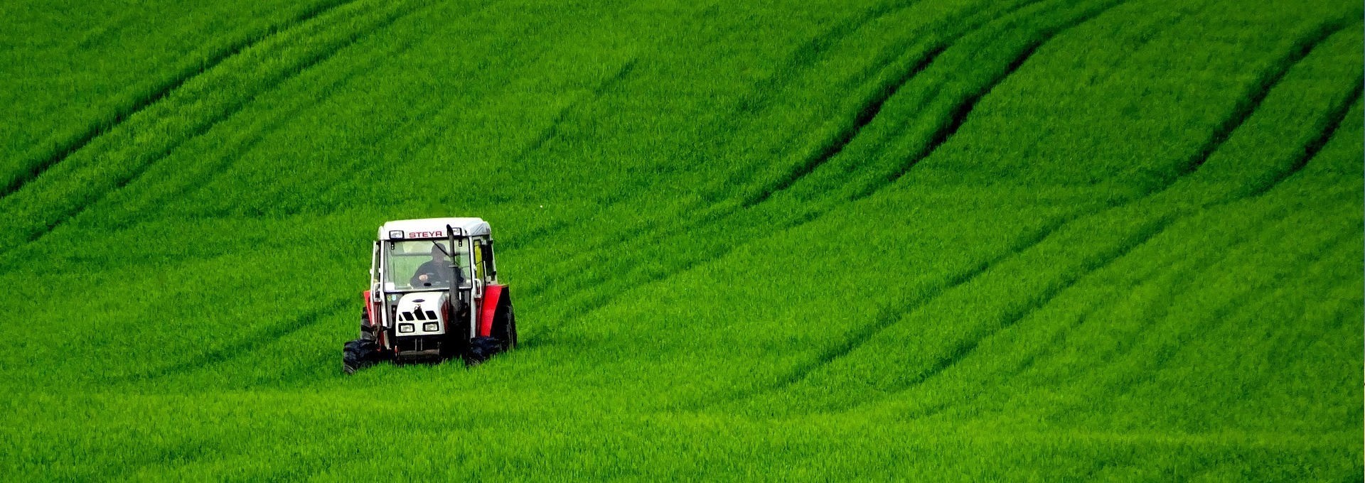 azienda agricola corbo nicoletta