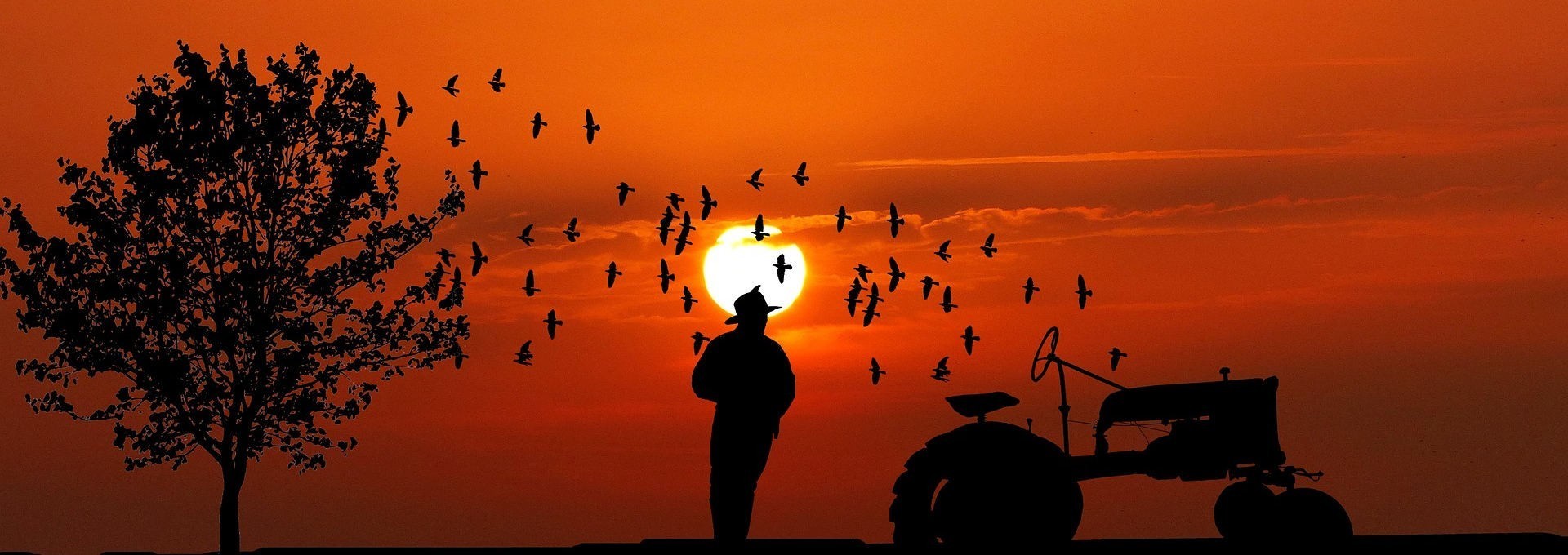 agricoltura - tradizione e passione